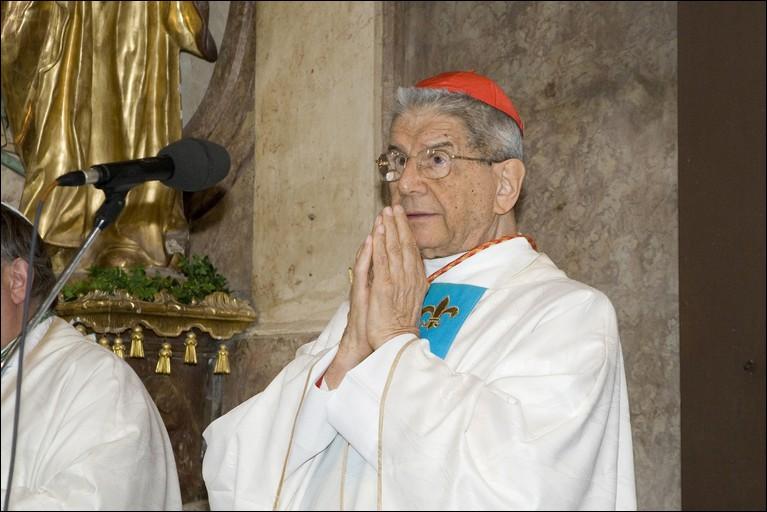 Kardinl Giovanni Coppa ve Ktinch - 8.7.2008 -  foto 33