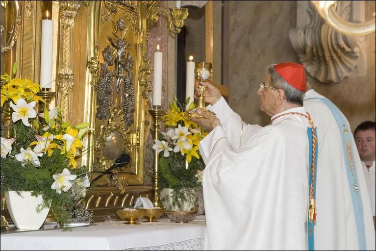 Kardinl Giovanni Coppa ve Ktinch - 8.7.2008 -  foto 48