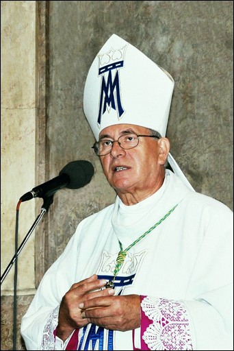 Slavnostn bohosluba k 14. vro papesk korunovace milostn sochy Panny Marie - 28.8.2011 -  foto 29
